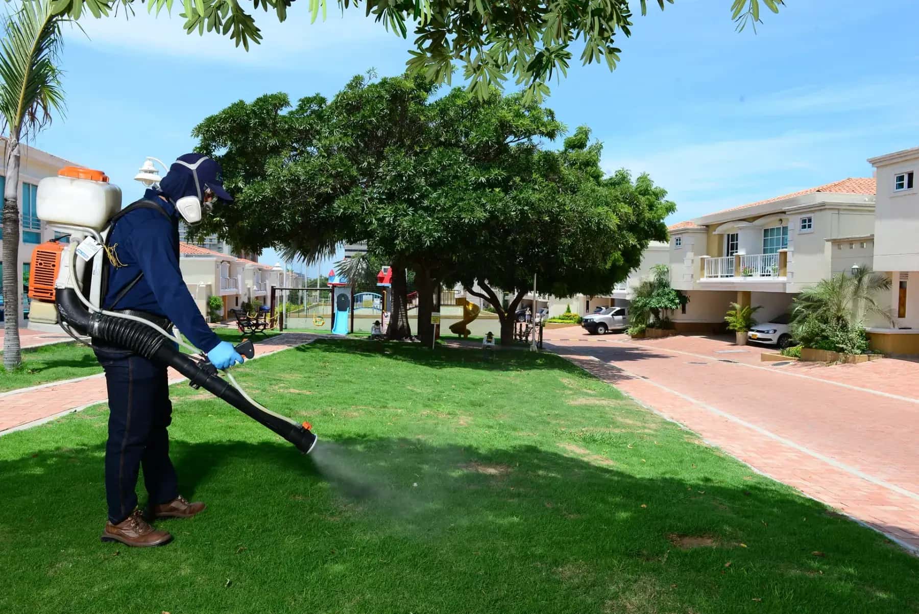 Jardinería y mantenimiento de zonas verdes para empresas