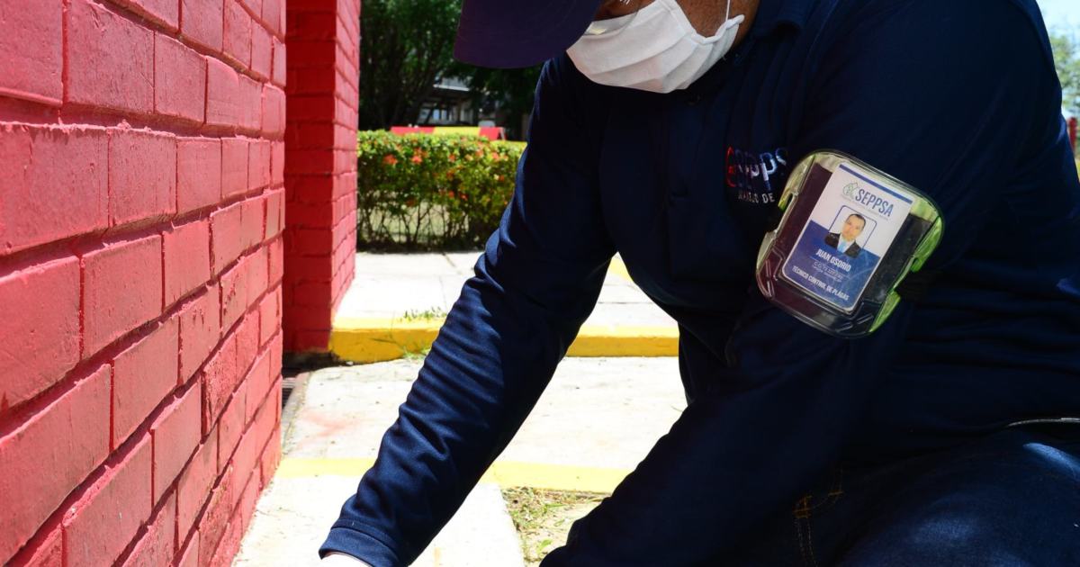 ¿Servicio de control de plagas en Aguachica? Seppsa es la solución