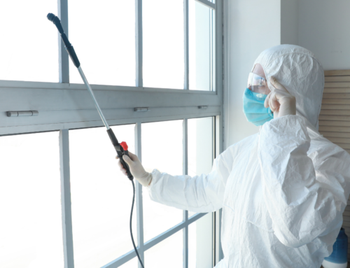 Lee este blog para saber qué es una fumigación y para qué se usa